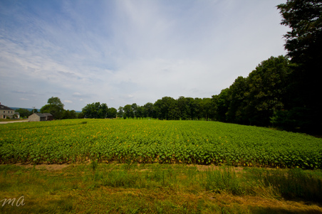 Enlarge photo 34