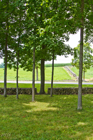 Enlarge photo 89