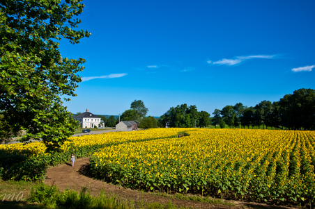 Enlarge photo 84
