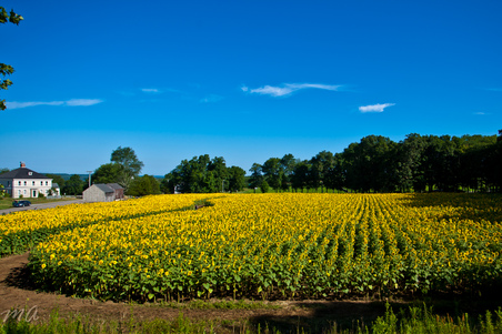 Enlarge photo 85
