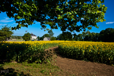 Enlarge photo 88