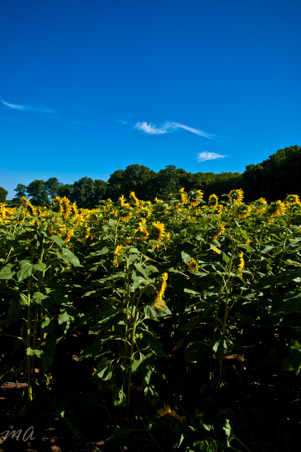 Enlarge photo 90