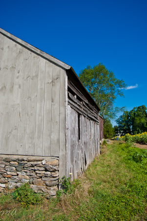 Enlarge photo 105