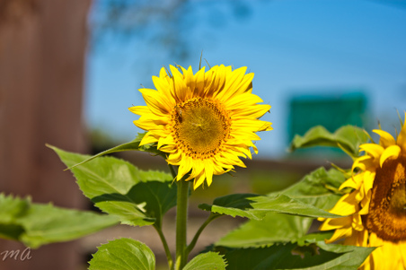 Enlarge photo 112