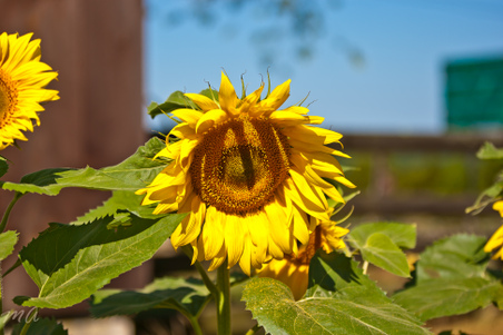 Enlarge photo 113