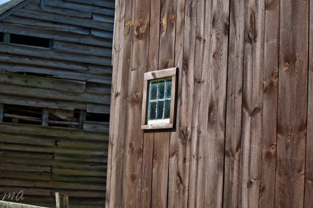 Enlarge photo 116