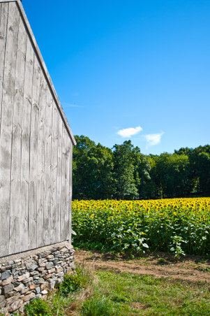 Enlarge photo 125