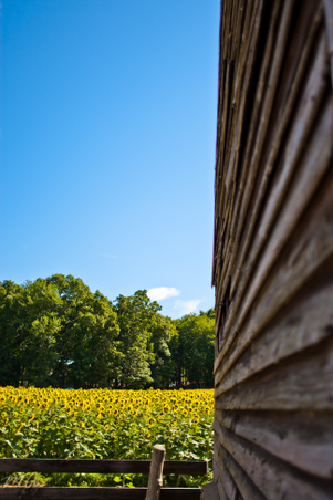 Enlarge photo 141