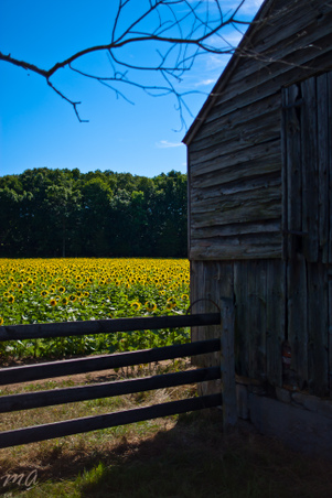 Enlarge photo 149