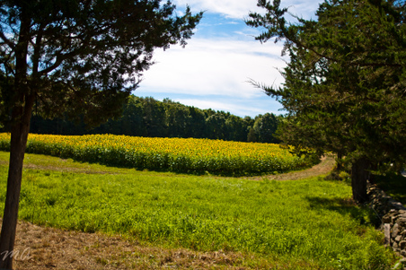 Enlarge photo 152