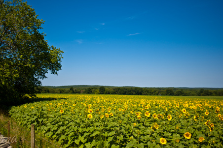 Enlarge photo 157