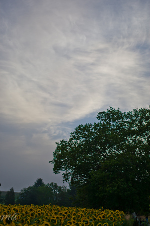 Enlarge photo 29