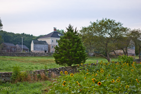 Enlarge photo 43