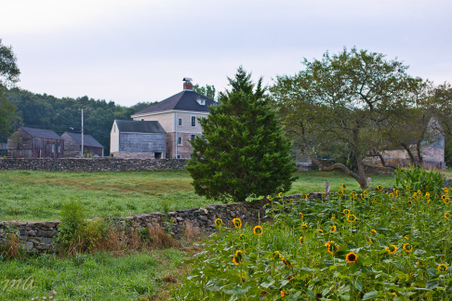 Enlarge photo 44