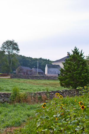 Enlarge photo 45