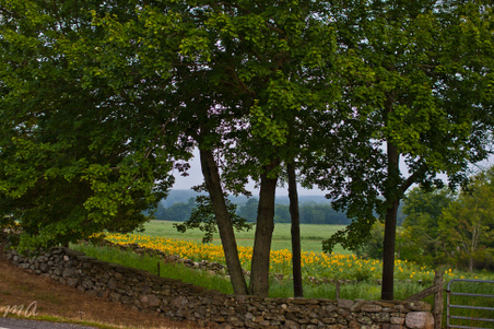 Enlarge photo 47