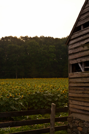 Enlarge photo 59