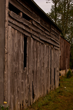 Enlarge photo 60