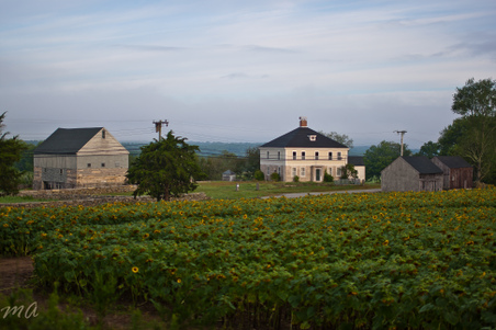 Enlarge photo 68
