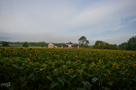Enlarge photo 72