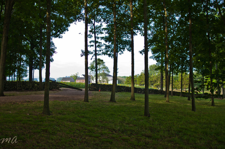 Enlarge photo 73