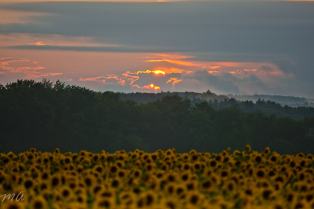 Enlarge photo 62