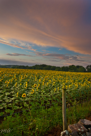 Enlarge photo 77