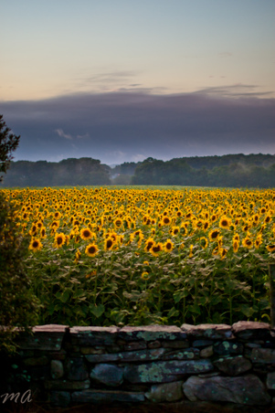 Enlarge photo 89