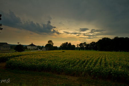 Enlarge photo 59