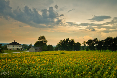 Enlarge photo 60