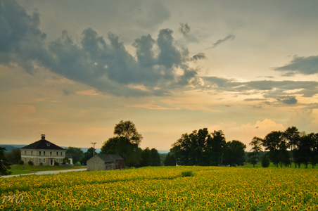 Enlarge photo 61