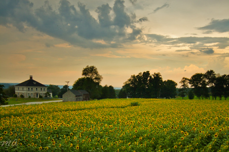 Enlarge photo 62