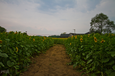 Enlarge photo 12