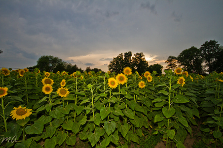 Enlarge photo 24