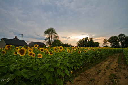 Enlarge photo 30