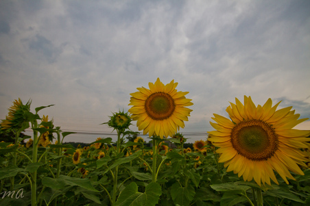 Enlarge photo 34