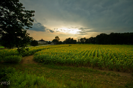 Enlarge photo 41