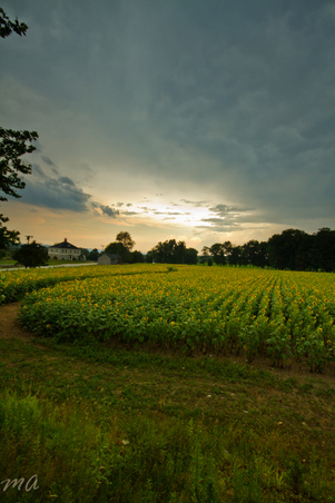 Enlarge photo 42