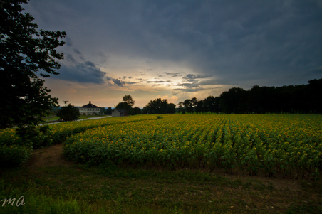 Enlarge photo 43