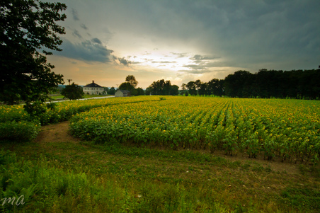 Enlarge photo 44