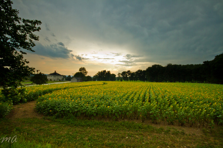 Enlarge photo 45