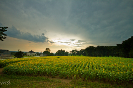 Enlarge photo 46