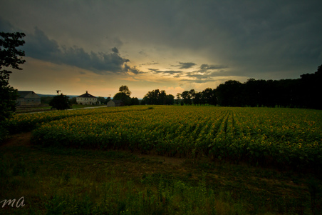 Enlarge photo 48