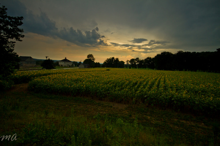 Enlarge photo 50