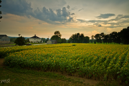 Enlarge photo 53