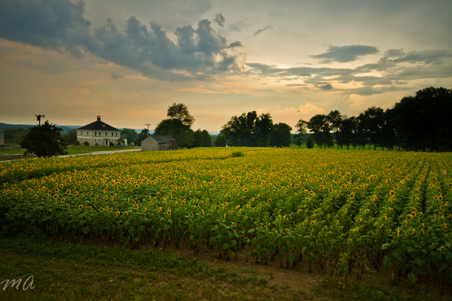 Enlarge photo 54