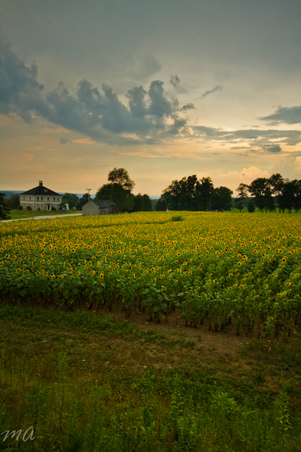 Enlarge photo 55