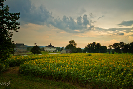 Enlarge photo 56