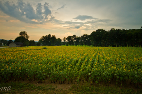 Enlarge photo 58