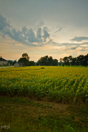 Enlarge photo 63